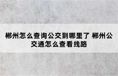 郴州怎么查询公交到哪里了 郴州公交通怎么查看线路